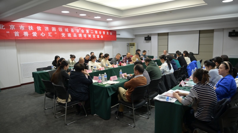 北京华樾慈善基金会参加北京市扶贫济困领域基金会第二联合党委“首善爱心汇”党建品牌创新发展研讨会